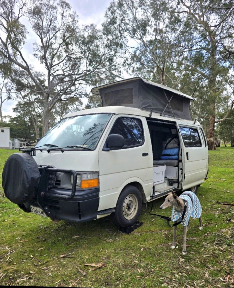 Winter the greyhound in a knitted coat standing in front of Trevor the campervan at a grassy bush campsite, side door open and pop-top up.